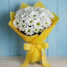 Букет цветов из:  Хризантемы в Лебяжьем Кировской области