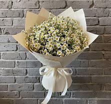 Букет цветов из:  Ромашки в Лебяжьем Кировской области