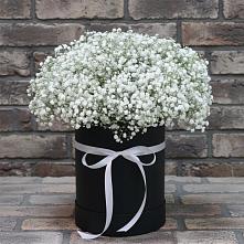 Цветочная композиция из Гипсофила в шляпной коробке в Лебяжьем Кировской области