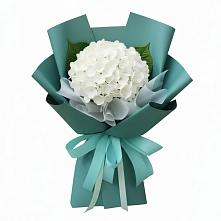 Букет цветов из:  Гортензия в Лебяжьем Кировской области